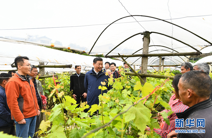习近平在广西考察时强调 解放思想深化改革凝心聚力担当实干 建设新时代中国特色社会主义壮美广西