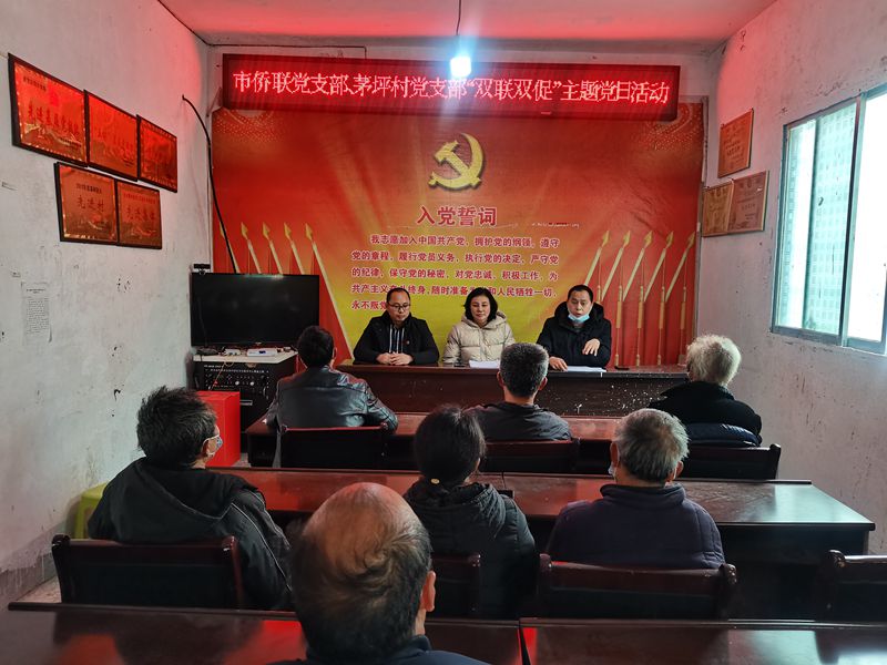 铜仁市侨联领导黄琳赴茅坪村开展“双联双促”支部联建和“我为群众办实事”活动