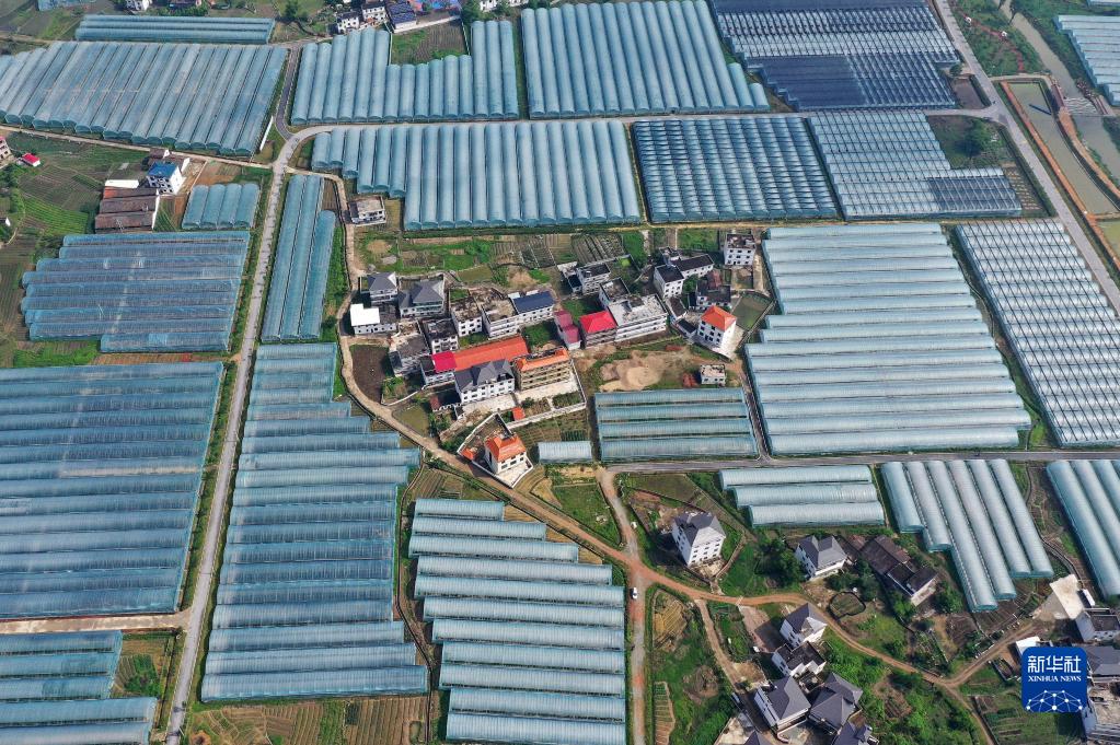 红土地上的新崛起——沿着总书记的足迹之江西篇