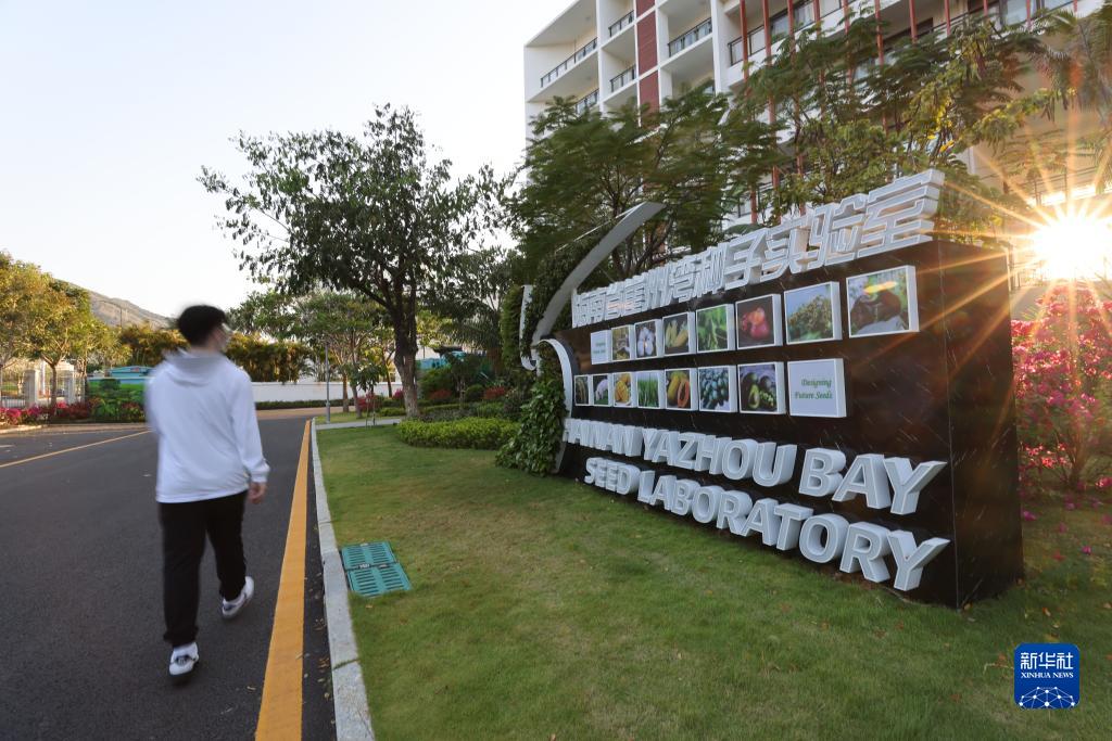 琼州潮涌展宏图——沿着总书记的足迹之海南篇