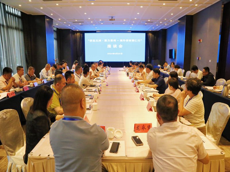 铜仁市开展“侨连五洲·聚力贵州——海外 侨商铜仁行”活动