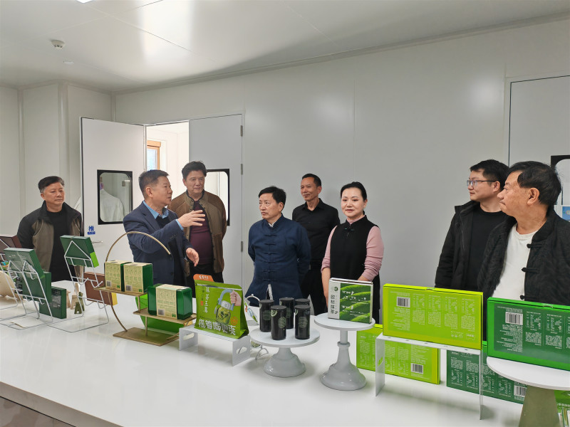 铜仁市侨联组织开展“2025海外侨商侨胞铜仁行”活动